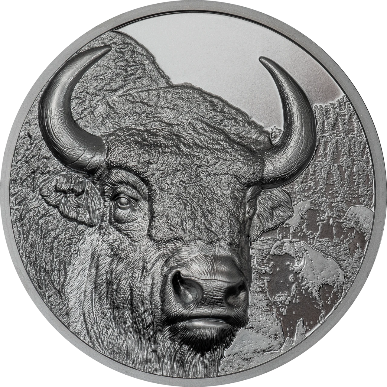 2020年第一作　モンゴル Majestic Eagle プルーフ銅貨 工芸品